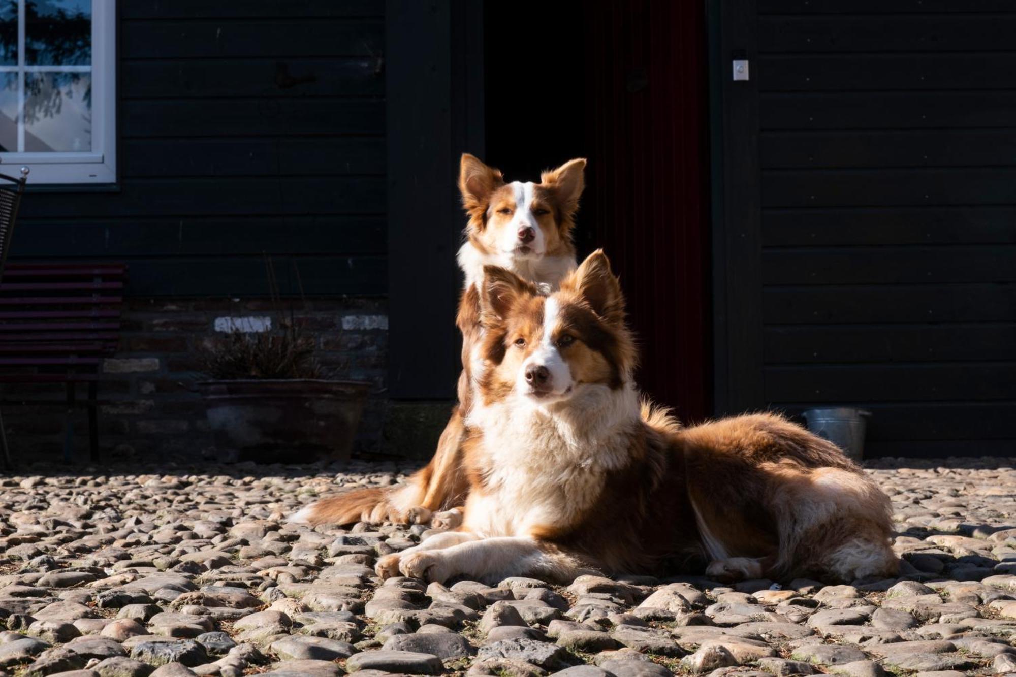 Meschermolen, Overnachten In De Schuur Eijsden Exterior foto