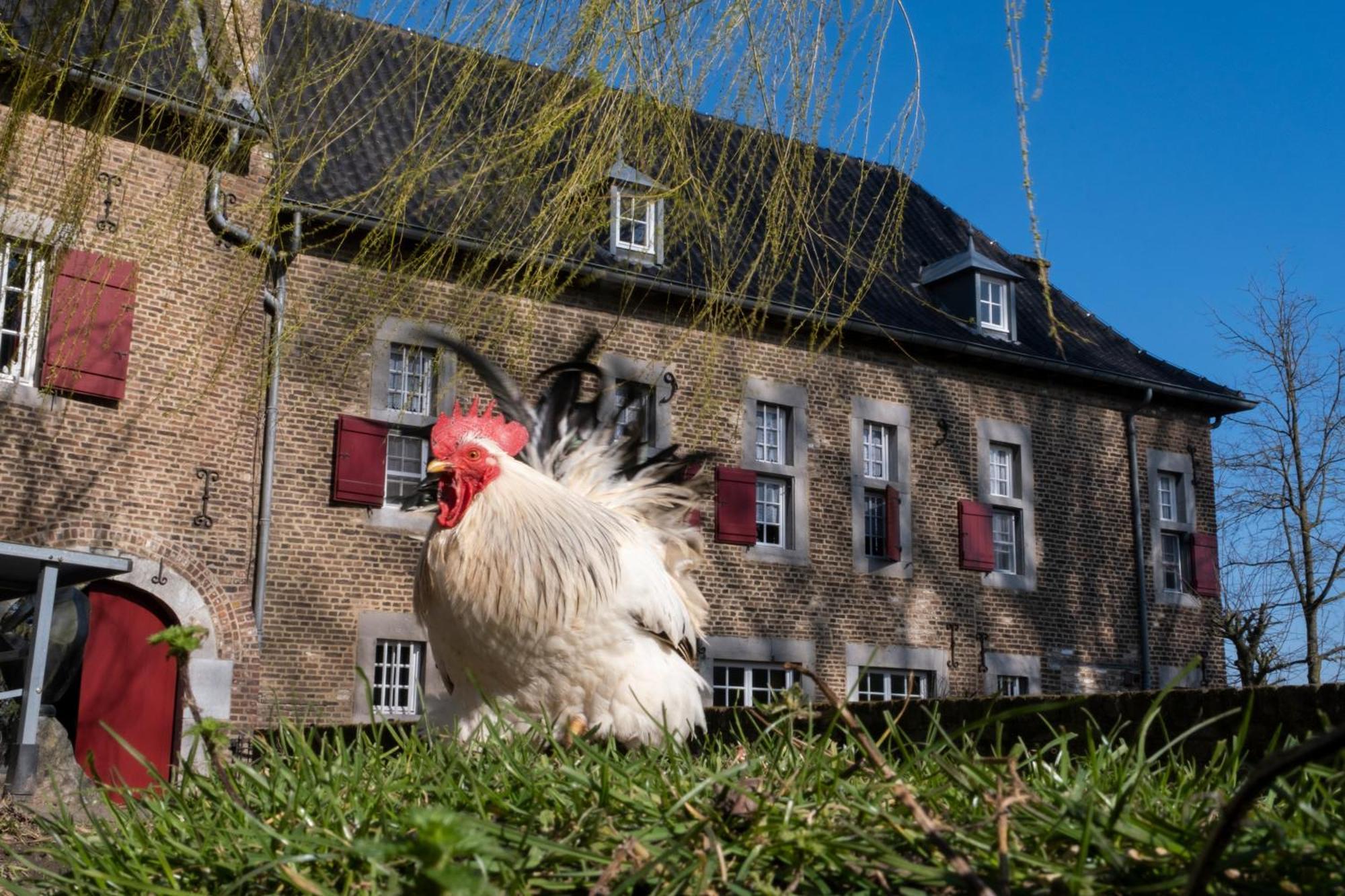 Meschermolen, Overnachten In De Schuur Eijsden Exterior foto