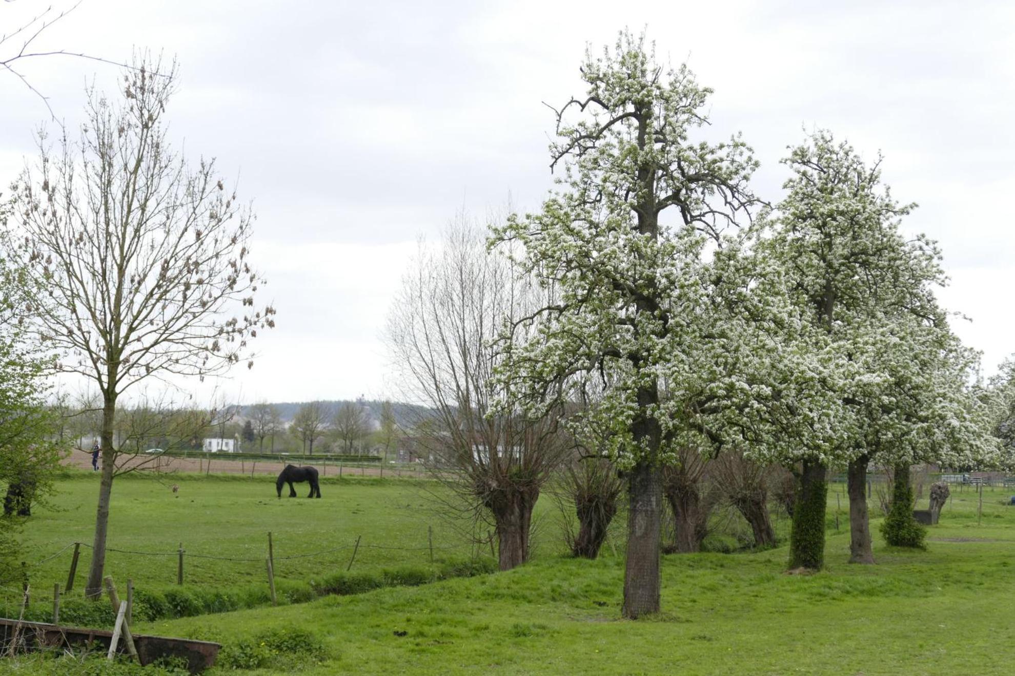 Meschermolen, Overnachten In De Schuur Eijsden Exterior foto